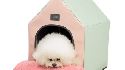 🐶 초코펫하우스세상시원한 써보니! 쿨꿀템 후기💙
